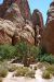 07-08-16, 279, Arches National Park, Utah