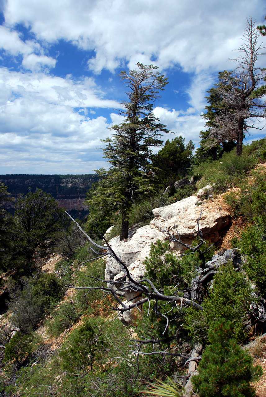 07-08-19, 096, Grand Canyon, North Rim, Az