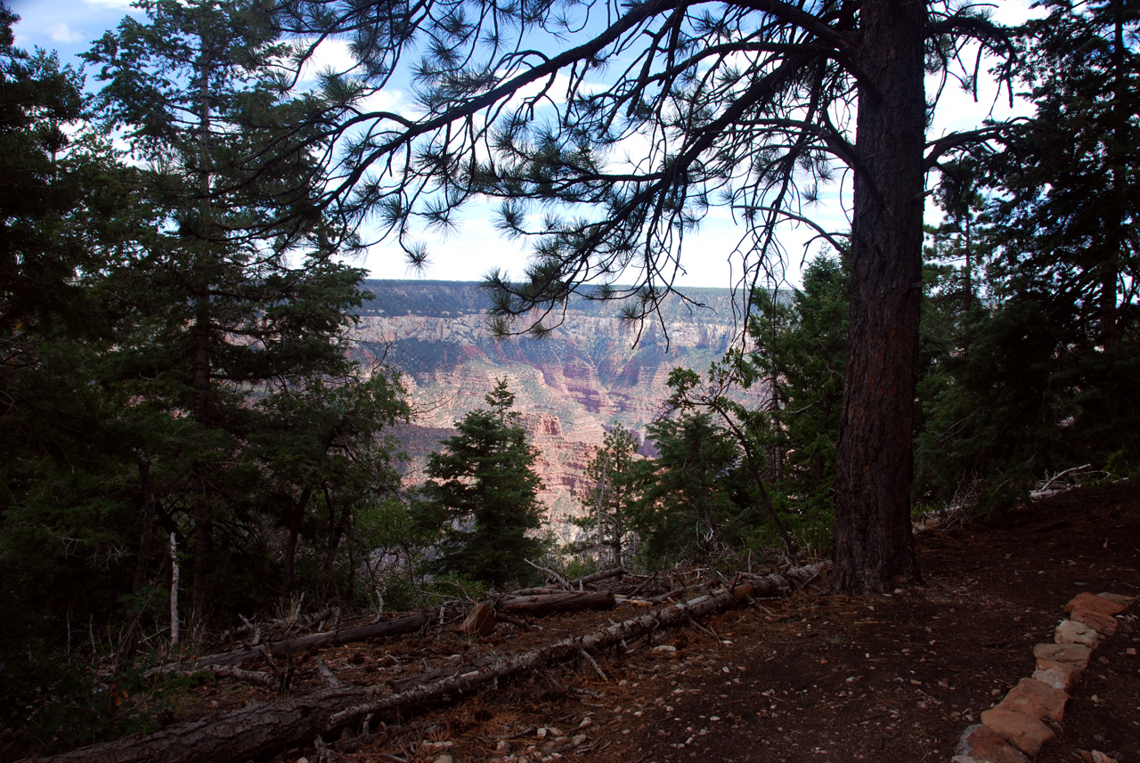 07-08-19, 104, Grand Canyon, North Rim, Az
