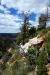 07-08-19, 096, Grand Canyon, North Rim, Az