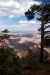 07-08-19, 123, Grand Canyon, North Rim, Az