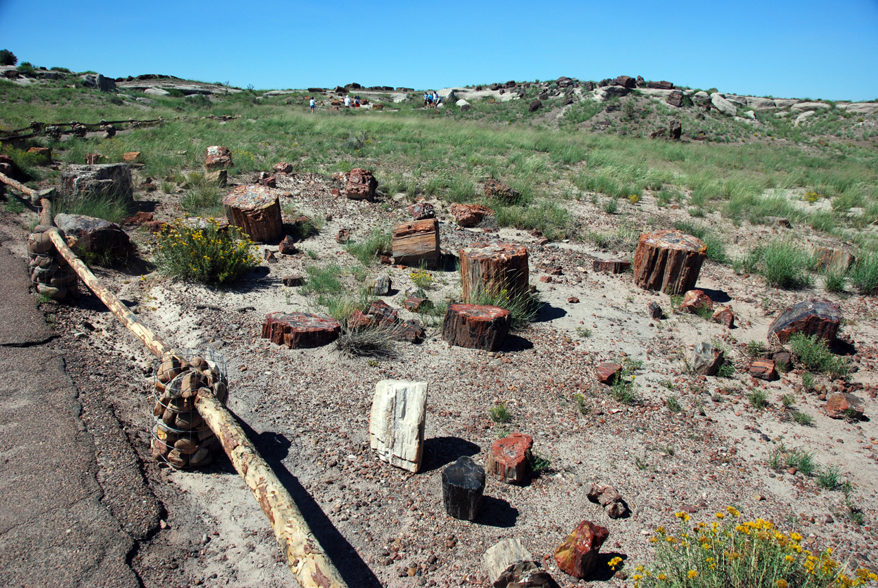 07-08-21, 064, Petrified Forest, Az