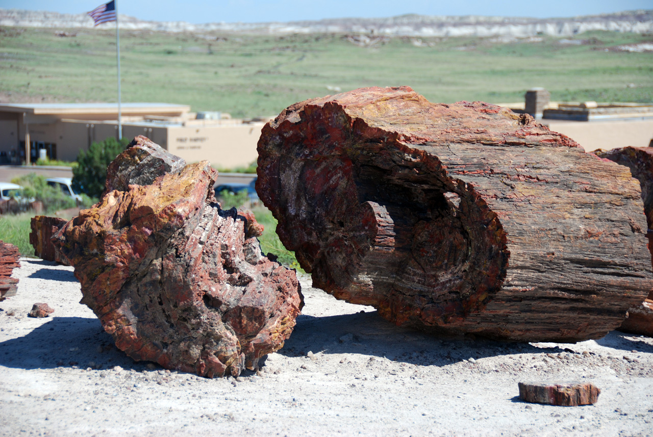 07-08-21, 068, Petrified Forest, Az