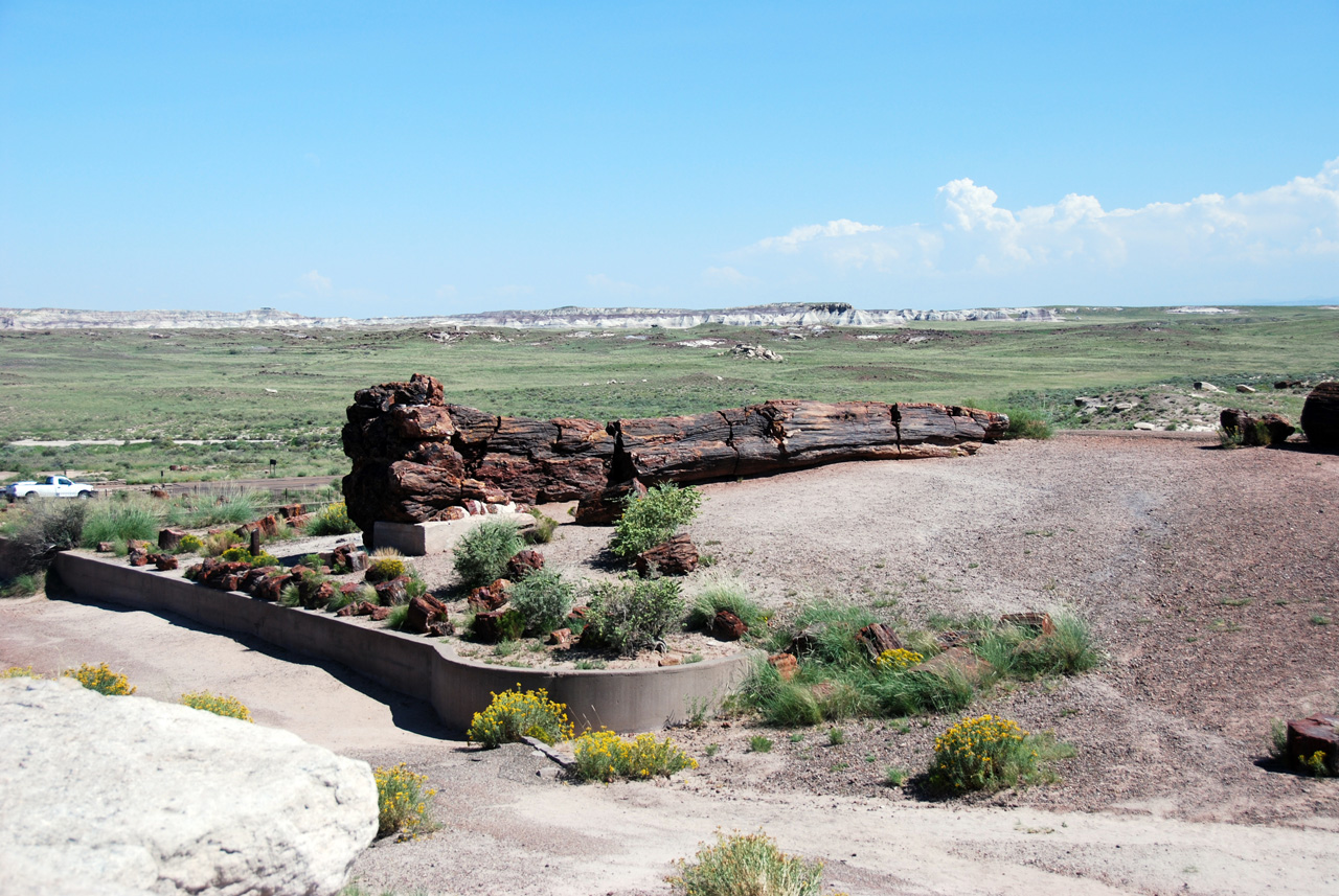 07-08-21, 071, Petrified Forest, Az