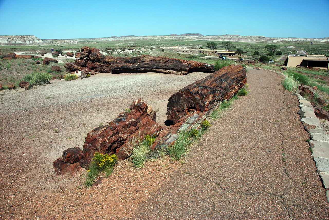 07-08-21, 074, Petrified Forest, Az