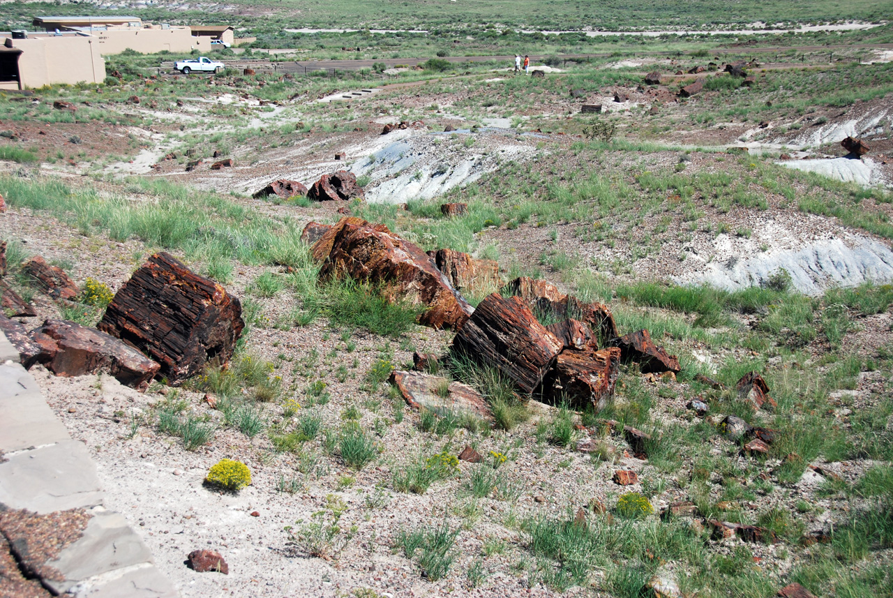 07-08-21, 075, Petrified Forest, Az