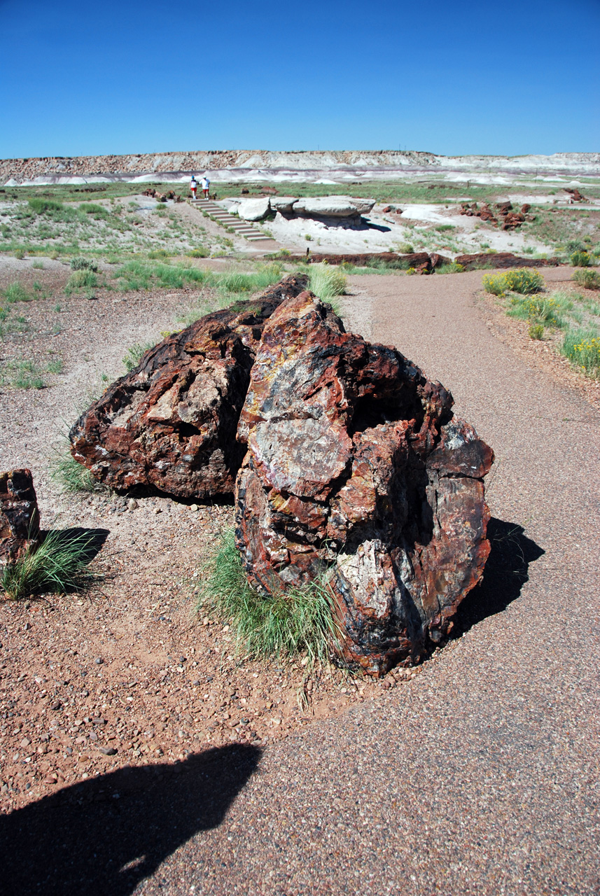 07-08-21, 076, Petrified Forest, Az