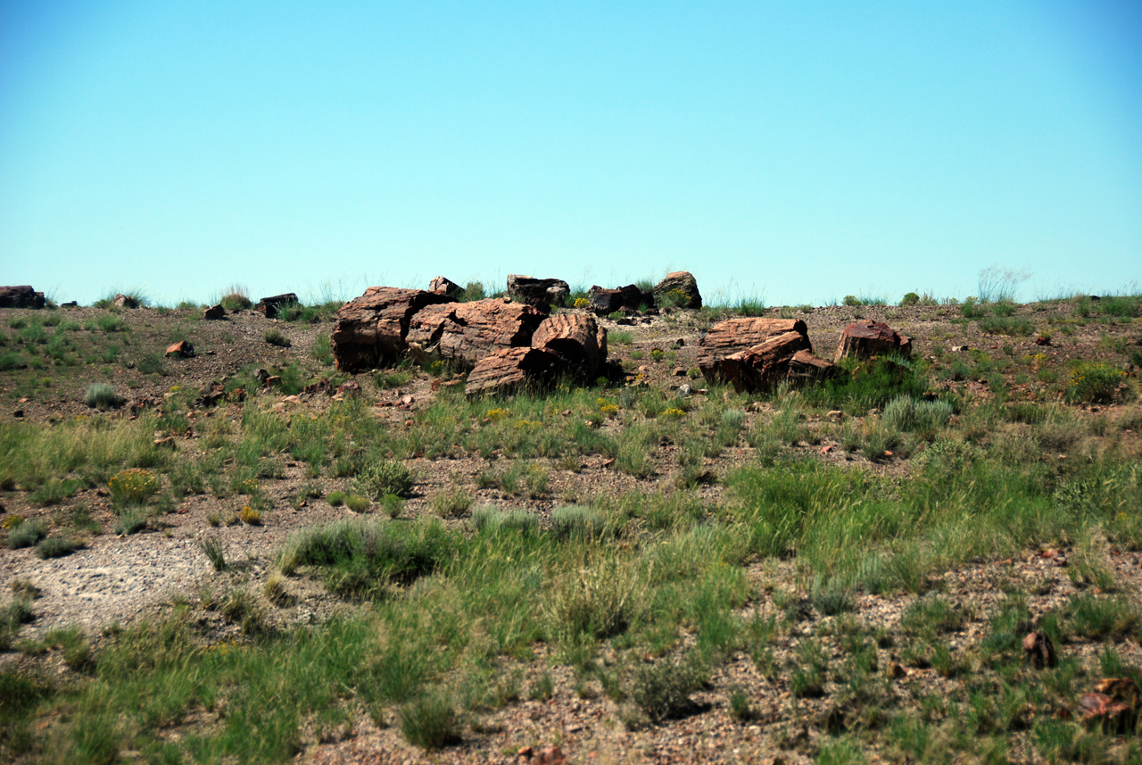 07-08-21, 078, Petrified Forest, Az