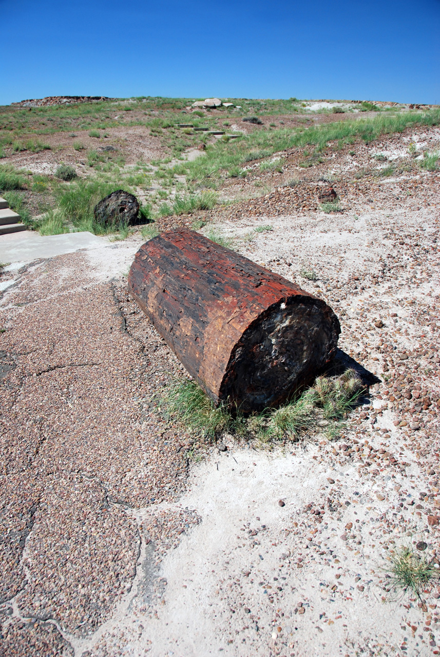 07-08-21, 080, Petrified Forest, Az