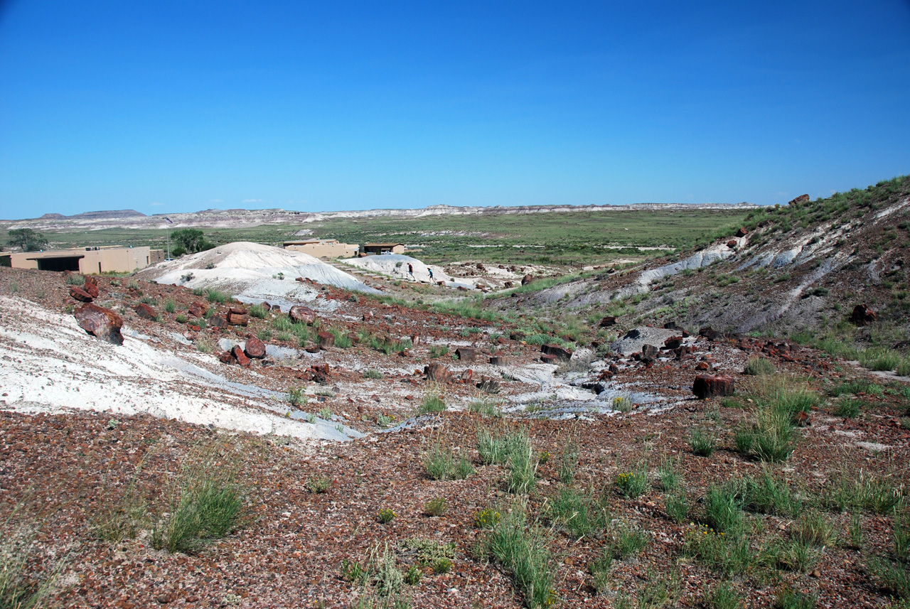 07-08-21, 082, Petrified Forest, Az
