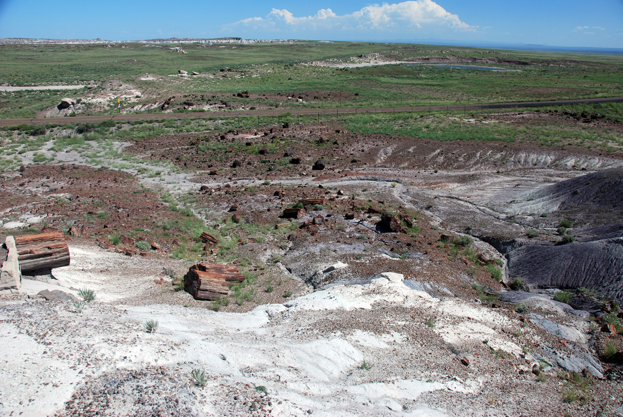 07-08-21, 083, Petrified Forest, Az