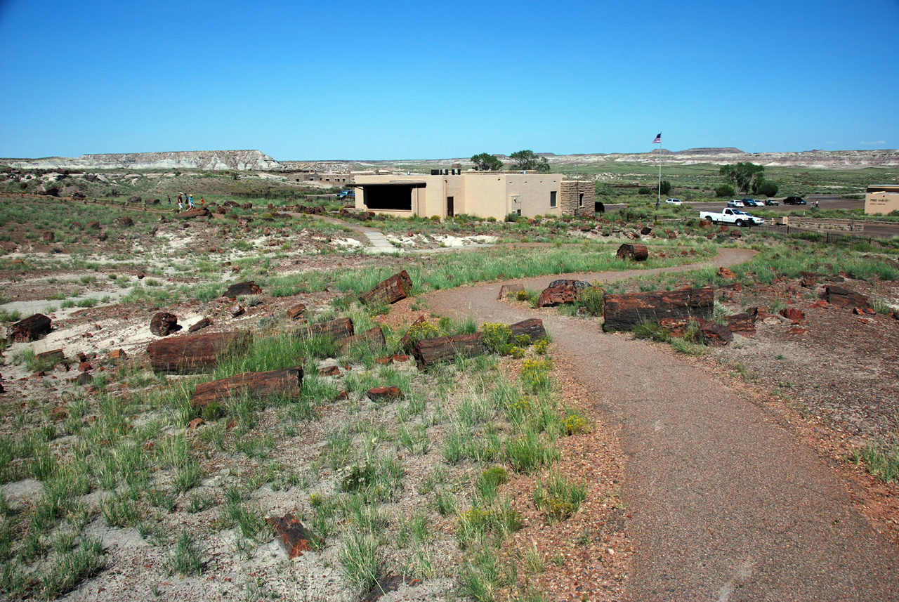 07-08-21, 088, Petrified Forest, Az