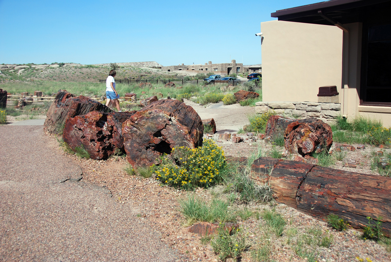 07-08-21, 090, Petrified Forest, Az