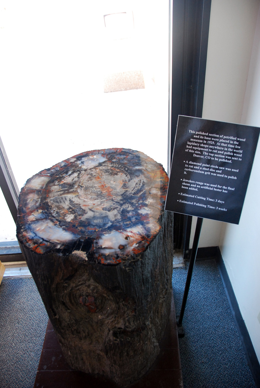 07-08-21, 092, Petrified Forest, Az