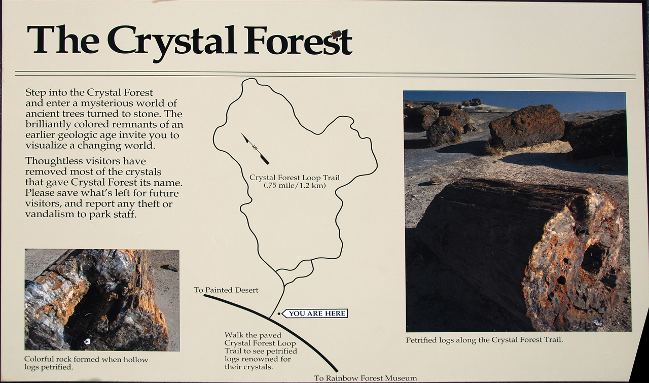07-08-21, 093, Petrified Forest, Az