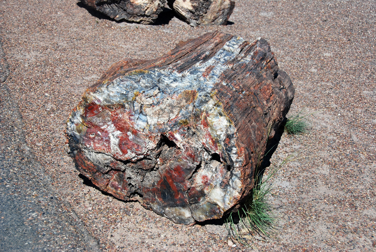 07-08-21, 096, Petrified Forest, Az