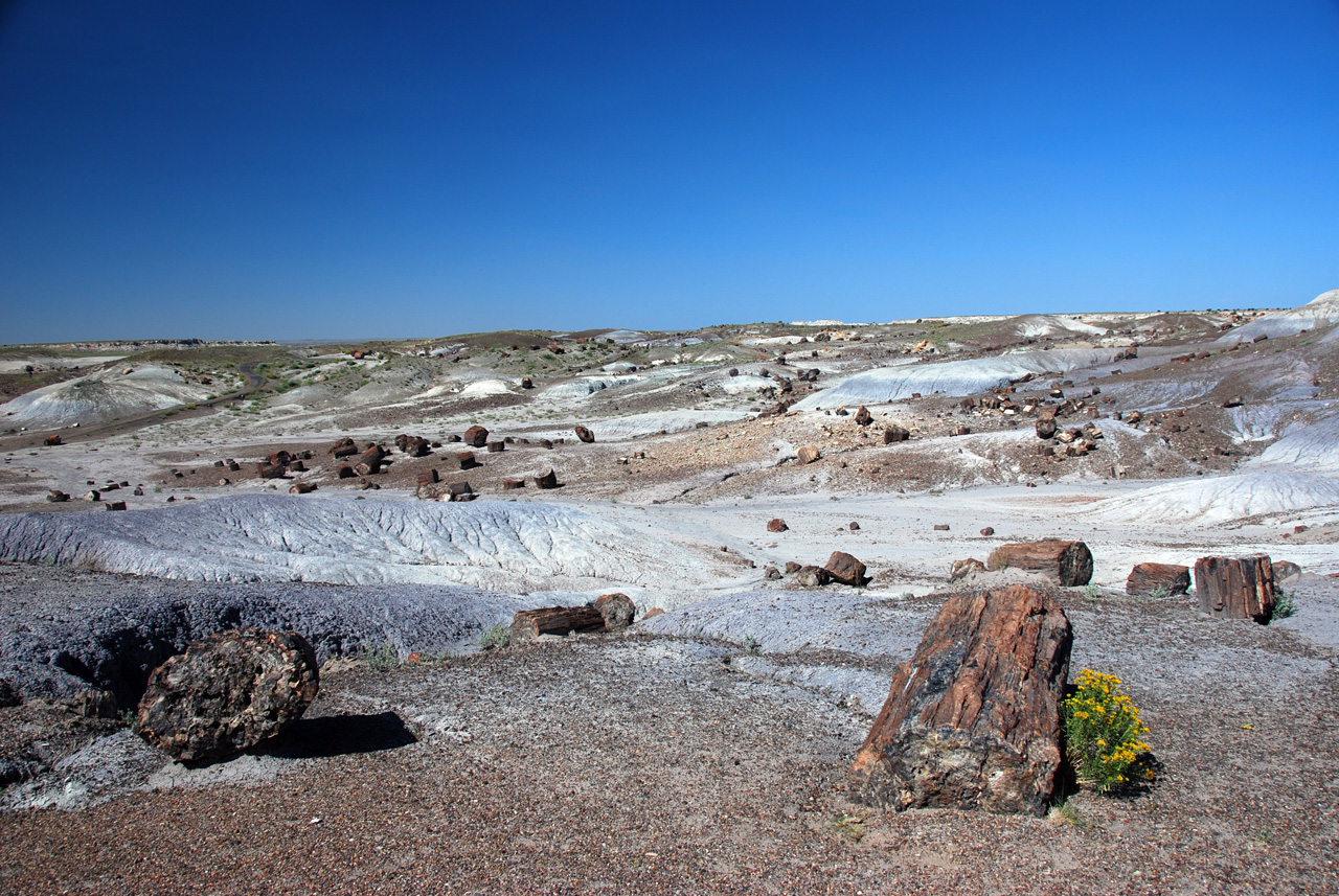 07-08-21, 097, Petrified Forest, Az