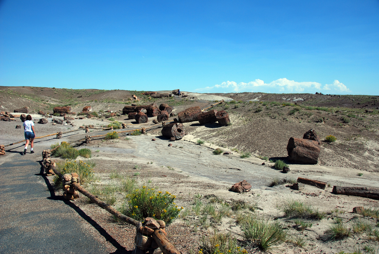 07-08-21, 098, Petrified Forest, Az
