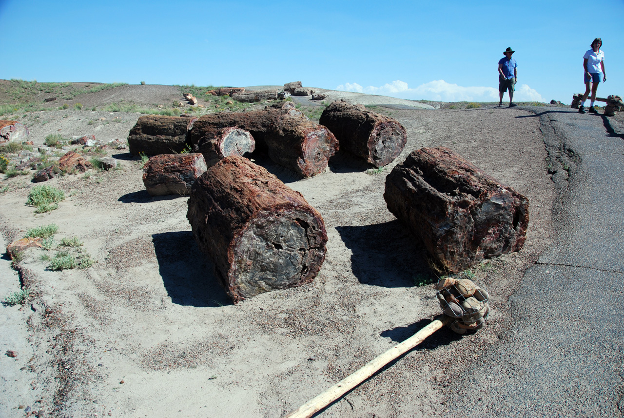 07-08-21, 099, Petrified Forest, Az