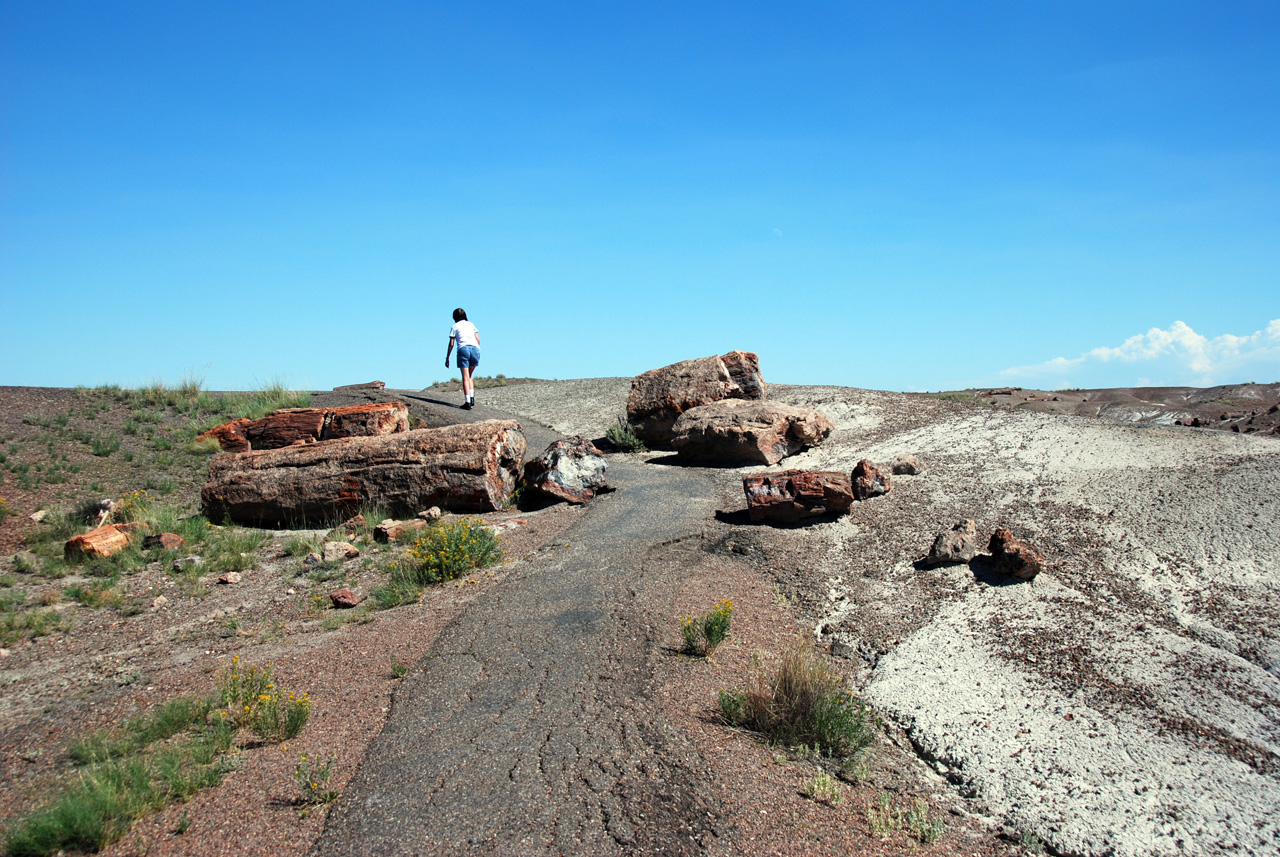 07-08-21, 101, Petrified Forest, Az