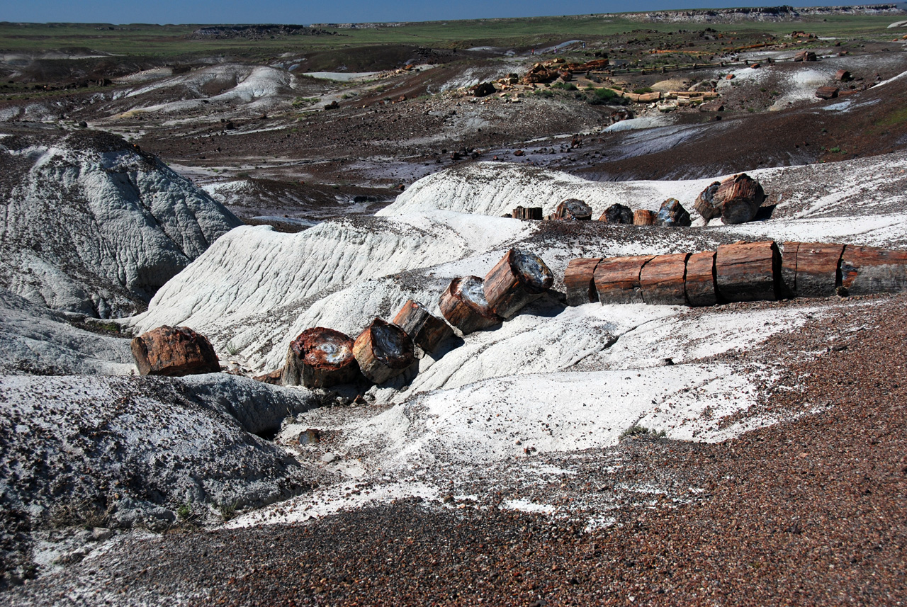 07-08-21, 104, Petrified Forest, Az