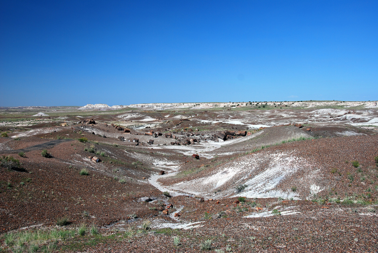 07-08-21, 106, Petrified Forest, Az