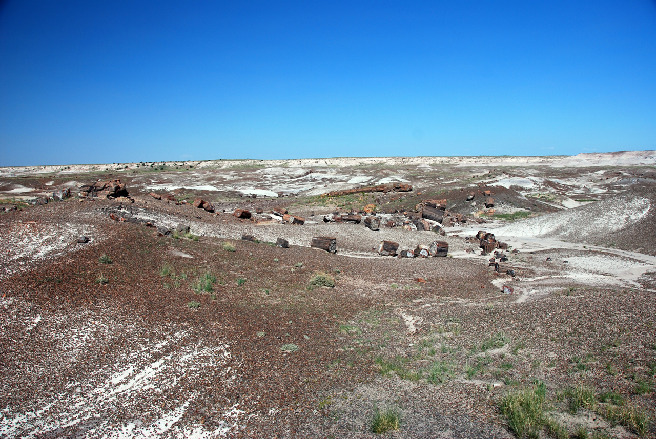 07-08-21, 108, Petrified Forest, Az