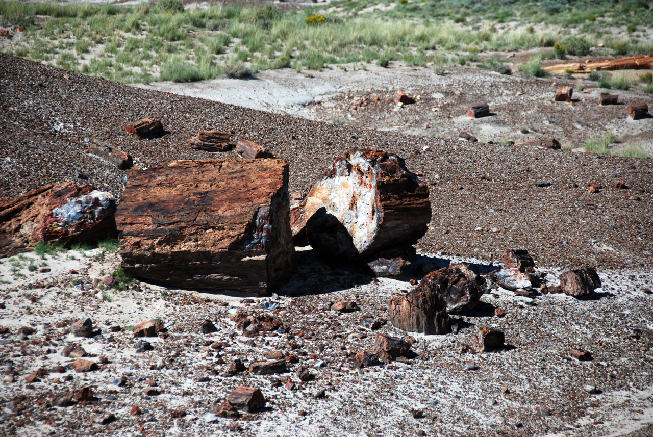 07-08-21, 109, Petrified Forest, Az