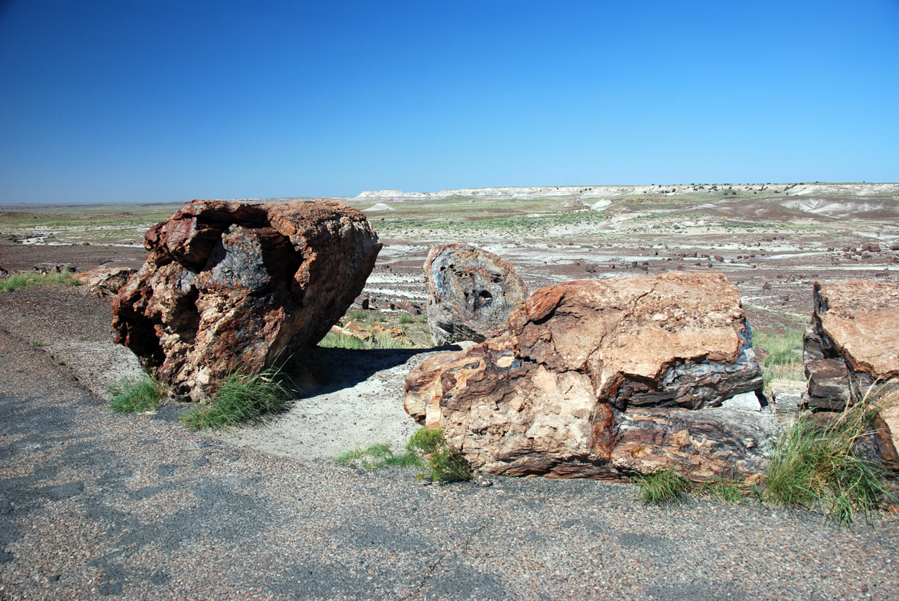 07-08-21, 115, Petrified Forest, Az