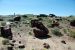 07-08-21, 063, Petrified Forest, Az