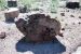 07-08-21, 065, Petrified Forest, Az