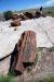 07-08-21, 067, Petrified Forest, Az