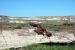 07-08-21, 069, Petrified Forest, Az