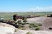 07-08-21, 071, Petrified Forest, Az