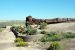 07-08-21, 073, Petrified Forest, Az