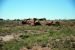 07-08-21, 078, Petrified Forest, Az