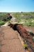 07-08-21, 079, Petrified Forest, Az