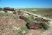 07-08-21, 081, Petrified Forest, Az