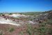 07-08-21, 082, Petrified Forest, Az