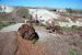 07-08-21, 086, Petrified Forest, Az