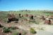07-08-21, 091, Petrified Forest, Az