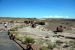 07-08-21, 098, Petrified Forest, Az