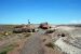 07-08-21, 101, Petrified Forest, Az