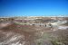 07-08-21, 108, Petrified Forest, Az