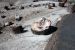 07-08-21, 111, Petrified Forest, Az