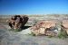 07-08-21, 115, Petrified Forest, Az