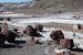 07-08-21, 118, Petrified Forest, Az