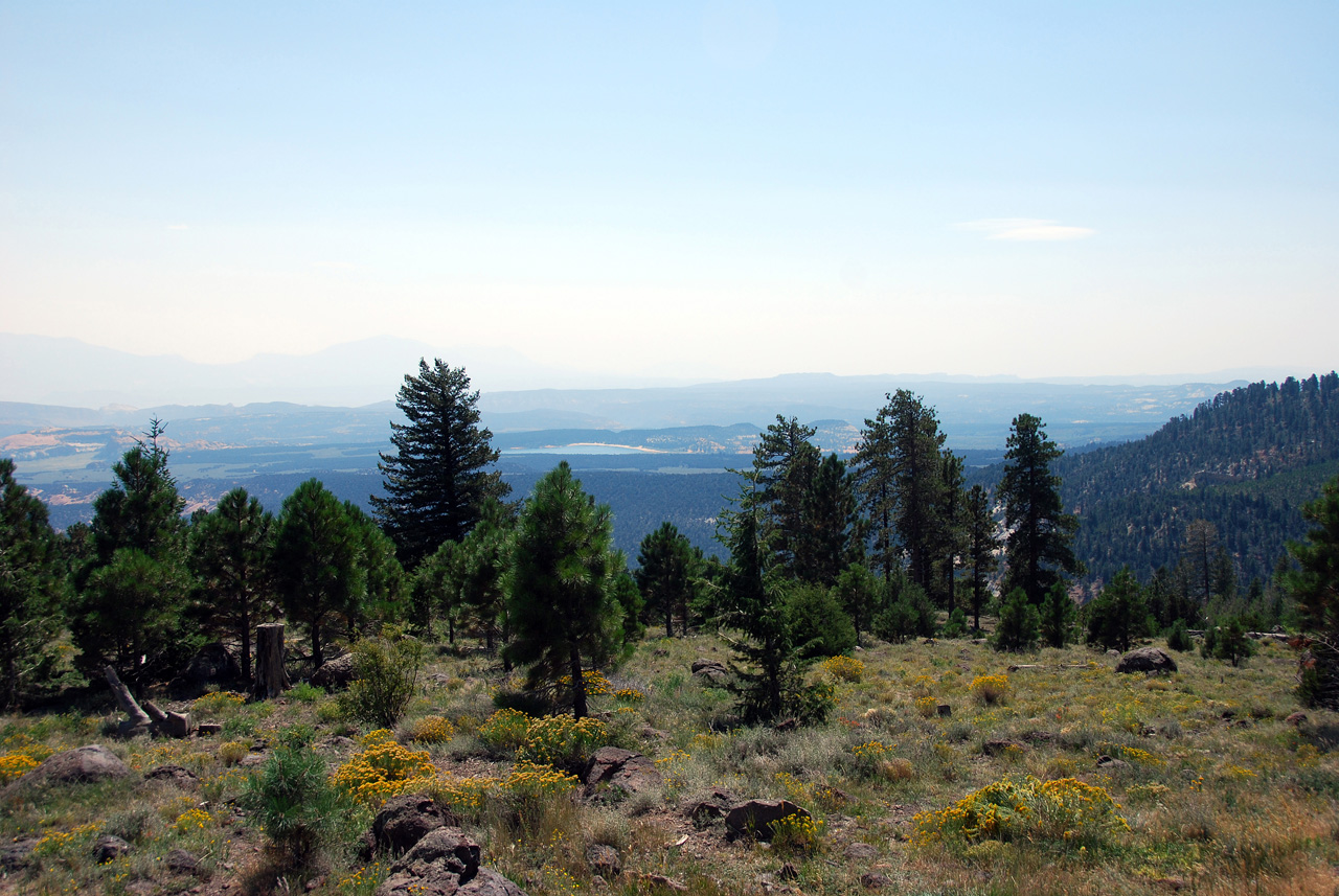 07-08-23, 161, Along Rt 12 in Utah