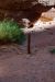 07-08-23, 125, Capitol Reef National Park, Utah