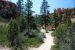 07-08-23, 184, Bryce Canyon National Park, Utah